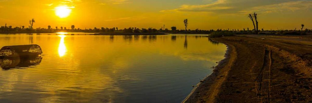 Al Qudra Lakes