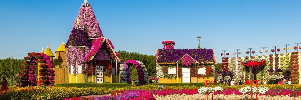 Visiting the Miracle Garden of Dubai