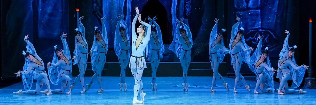 Ballet Shows
