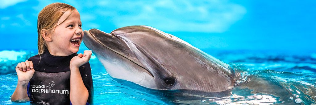 Dolphin Planet Dubai