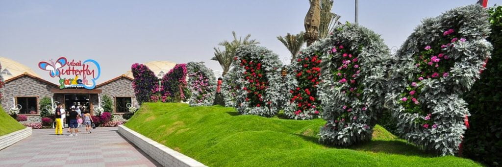 Dubai Butterfly Garden