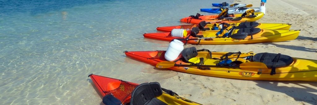 Go Kayaking