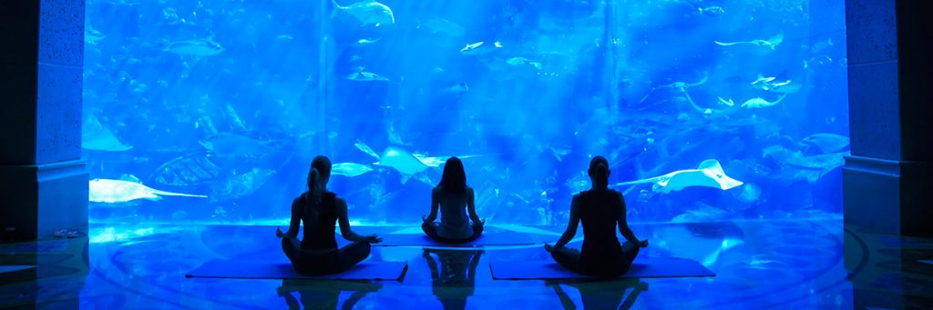 Hatha Yoga