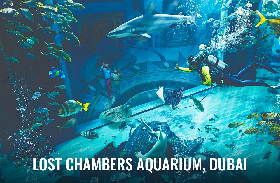 A Complete Guide to The Lost Chambers Aquarium, Dubai