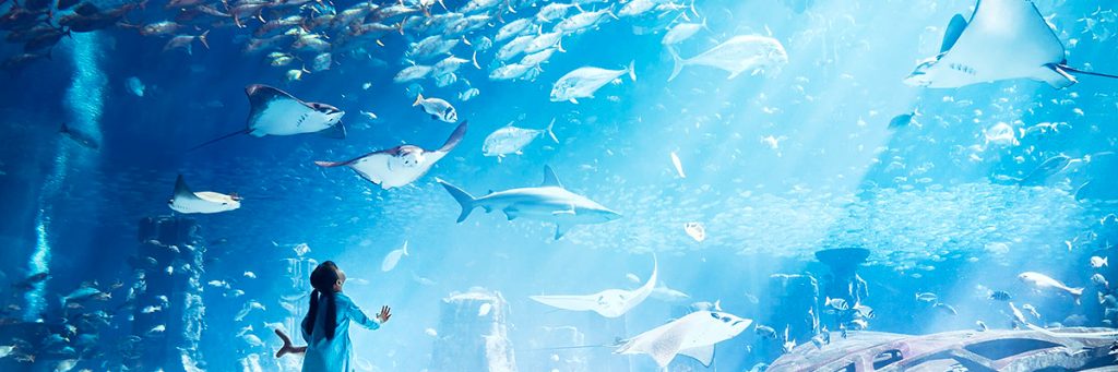 Tour of Fish Tales