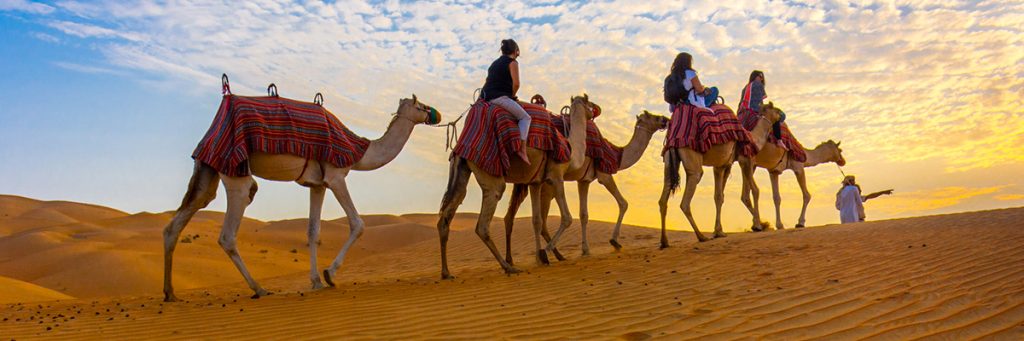 Abu Dhabi Desert Tour